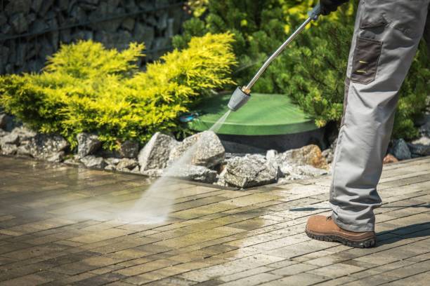 Best Pool Deck Cleaning  in Lodi, CA