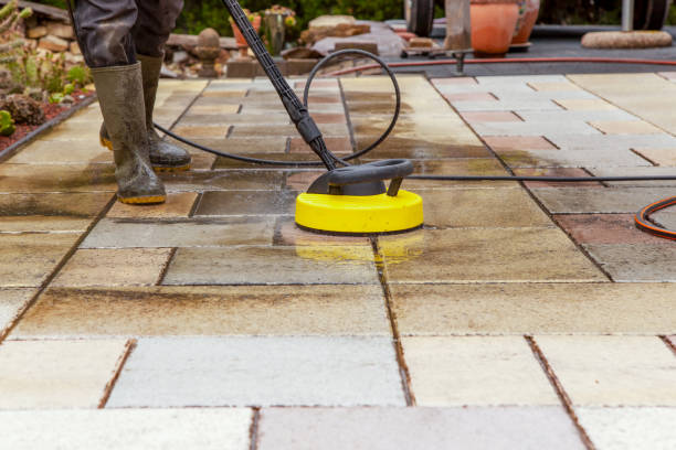 Best Roof Washing  in Lodi, CA